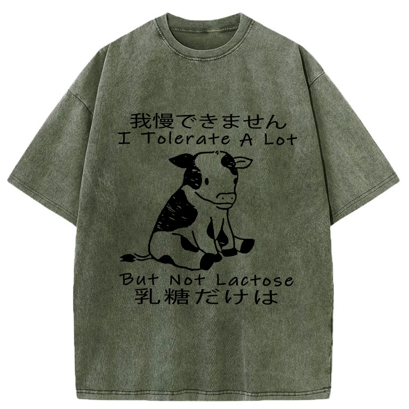 Tokyo-Tiger I Can't Tolerate Lactose Washed T-Shirt