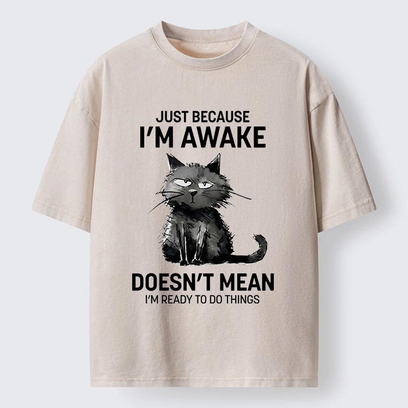 Tokyo-Tiger Grumpy Cat Not Ready To Do Things Washed T-Shirt