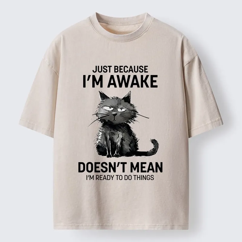 Tokyo-Tiger Grumpy Cat Not Ready To Do Things Washed T-Shirt Sale