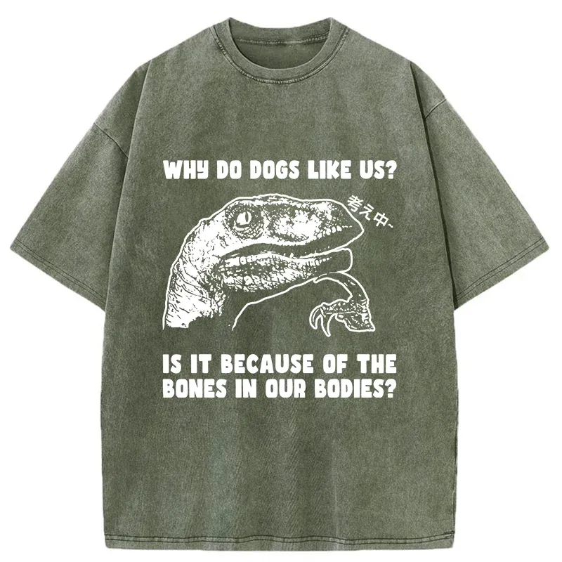 Tokyo-Tiger Thinking Philosoraptor Washed T-Shirt