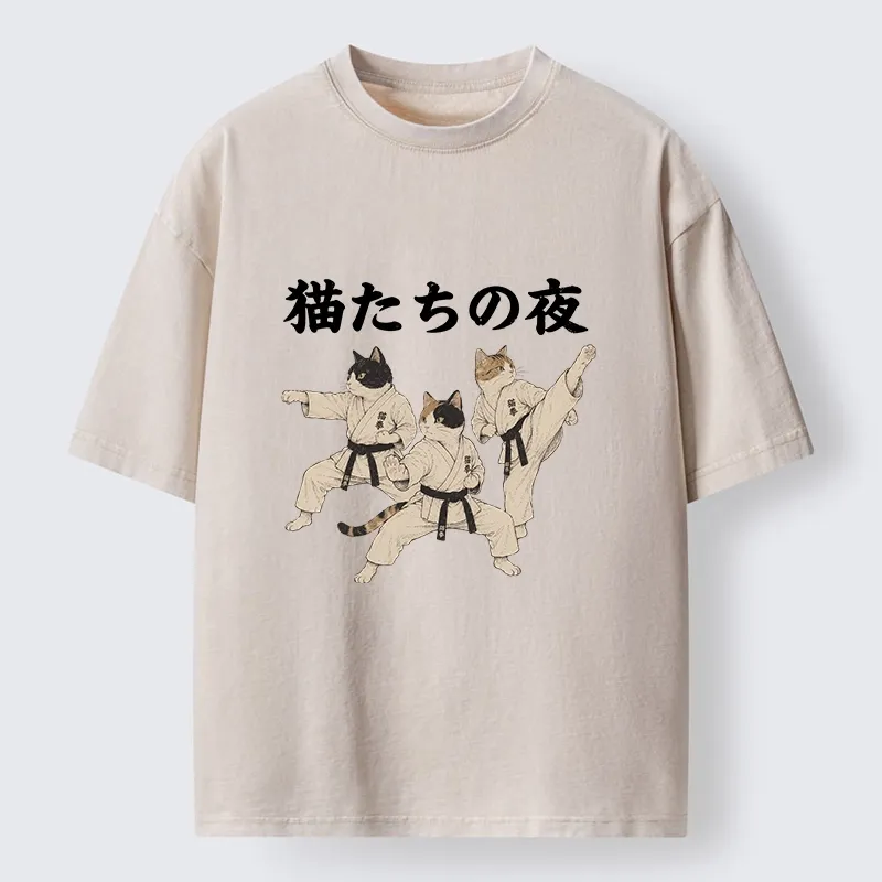 Tokyo-Tiger Funny Karate Cats Black Belt Meme Washed T-Shirt