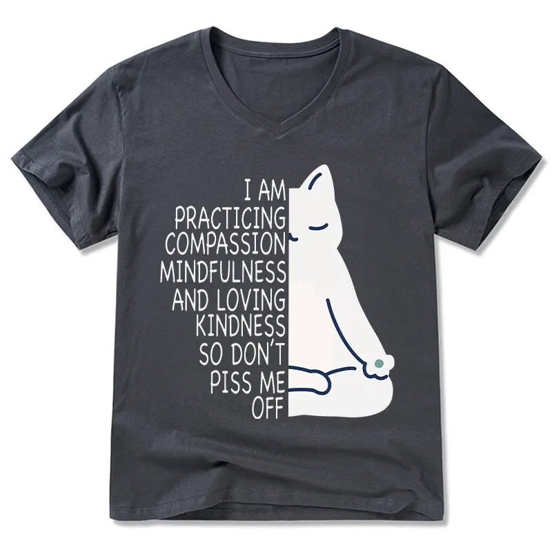 Tokyo-Tiger Calm Black Cat With Anger Issues V-Neck Classic T-Shirt