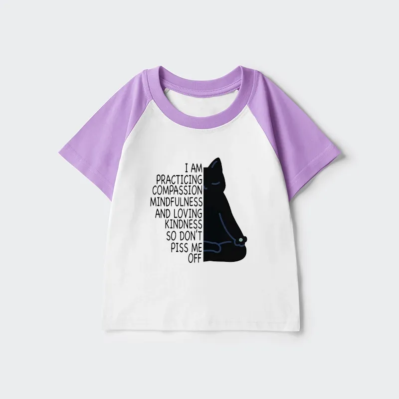 Tokyo-Tiger Calm Black Cat With Anger Issues Kids Raglan T-shirt