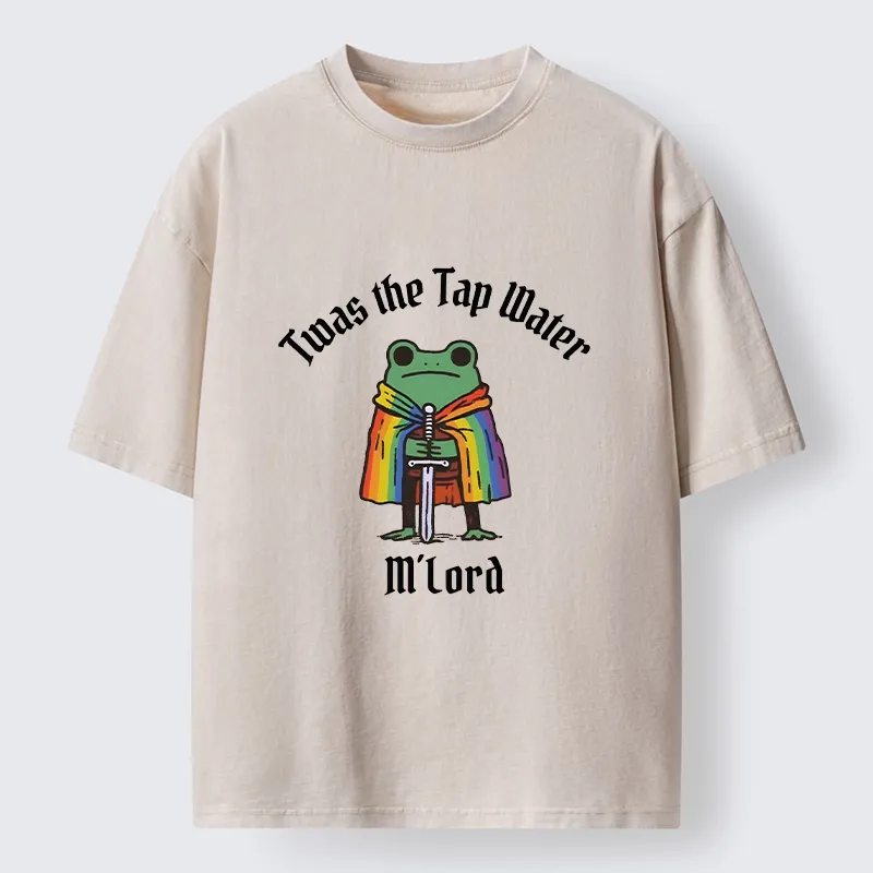 Tokyo-Tiger Funny Rainbow Cloak Frog With Sharp Sword Washed T-Shirt