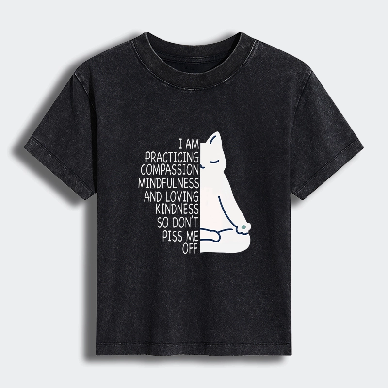 Tokyo-Tiger Calm Black Cat With Anger Issues Women's Washed T-shirt