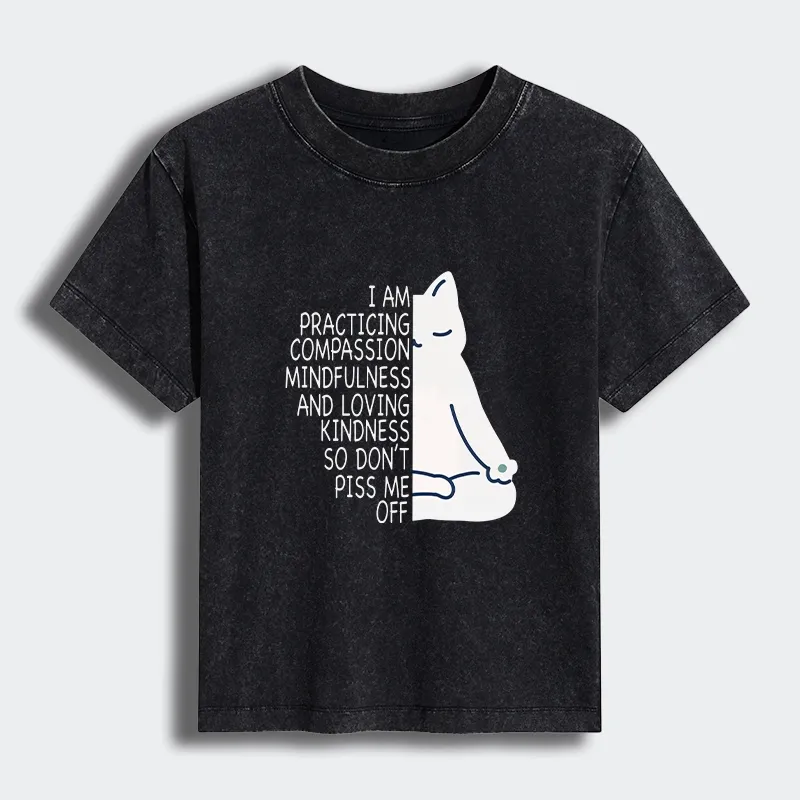 Tokyo-Tiger Calm Black Cat With Anger Issues Women's Washed T-shirt Sale