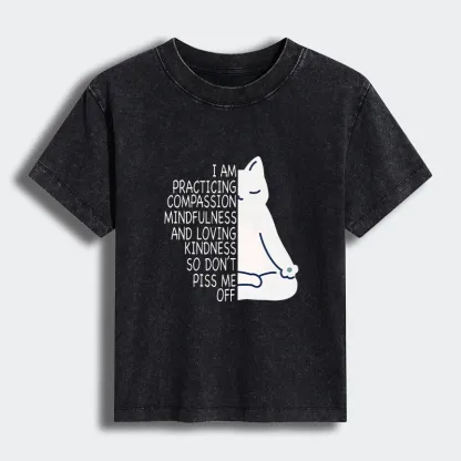 Tokyo-Tiger Calm Black Cat With Anger Issues Women's Washed T-shirt