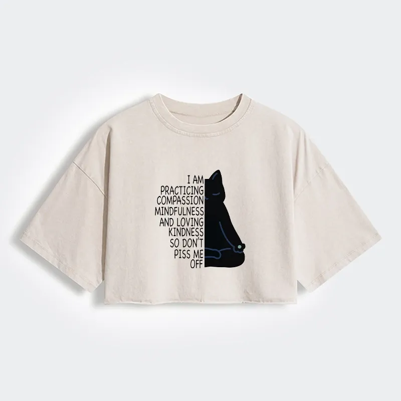 Tokyo-Tiger Calm Black Cat With Anger Issues Women's Washed Crop T-Shirt