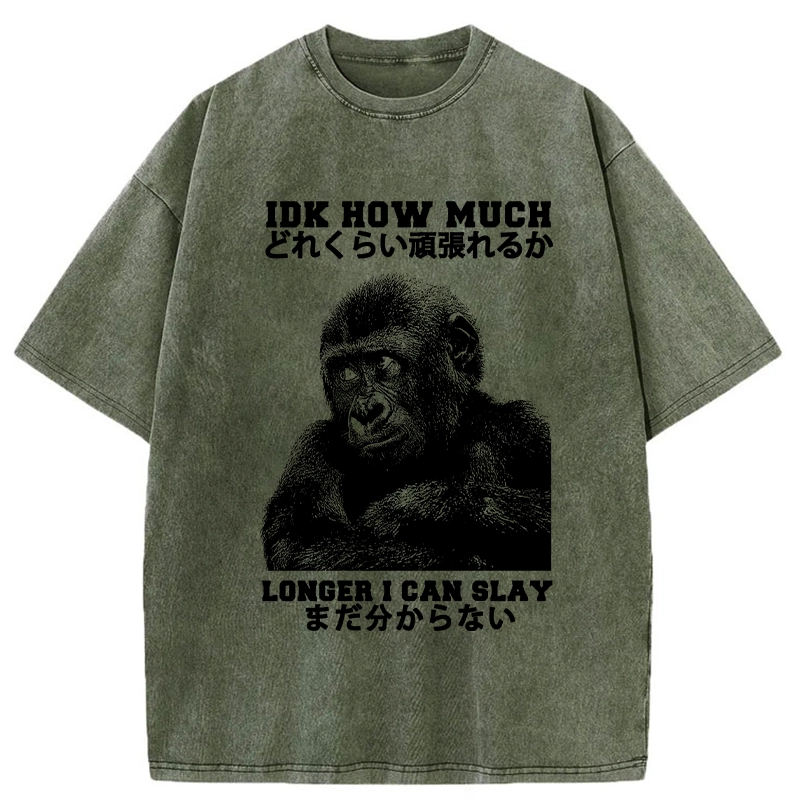 Tokyo-Tiger I Don't Know How Long I Can Slay Washed T-Shirt