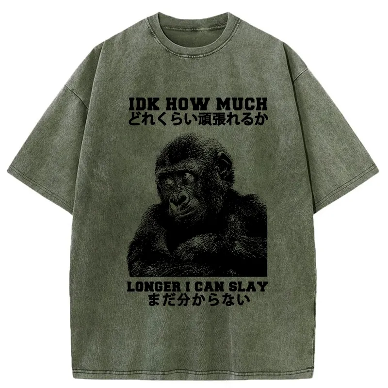 Tokyo-Tiger I Don't Know How Long I Can Slay Washed T-Shirt Sale