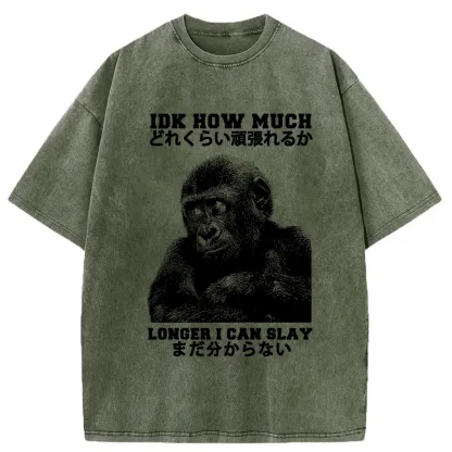 Tokyo-Tiger I Don't Know How Long I Can Slay Washed T-Shirt
