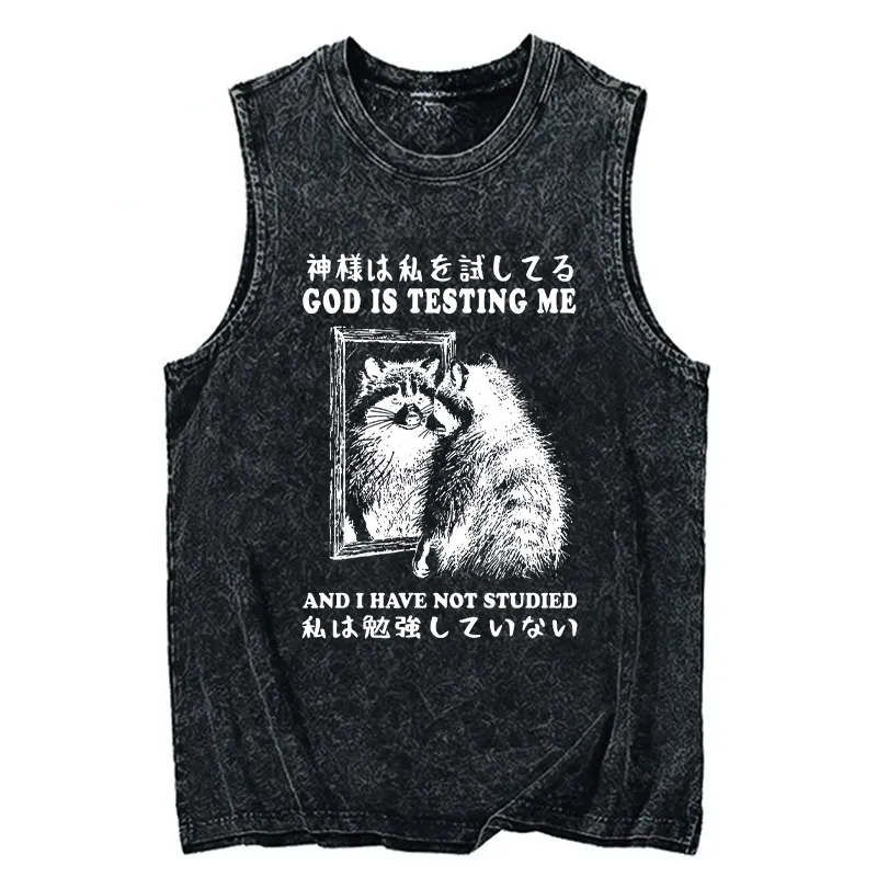 Tokyo-Tiger Raccoon Not Studied Washed Tank Sale