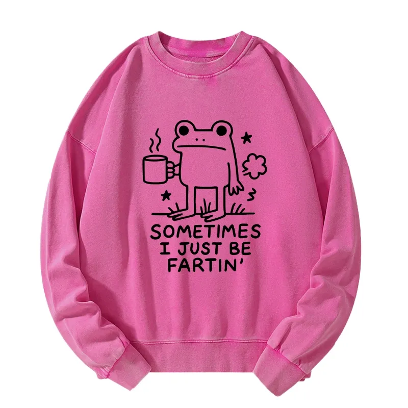 Tokyo-Tiger Sometimes A Frog Just Needs To Fart Washed Sweatshirt