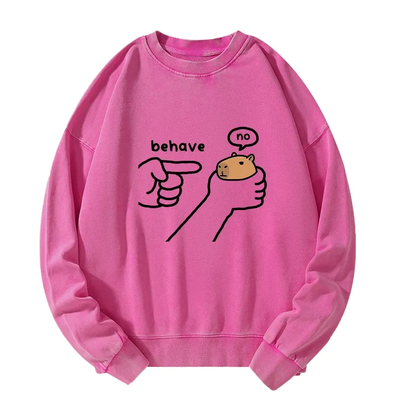 Tokyo-Tiger Dishonest Capybara Washed Sweatshirt Sale
