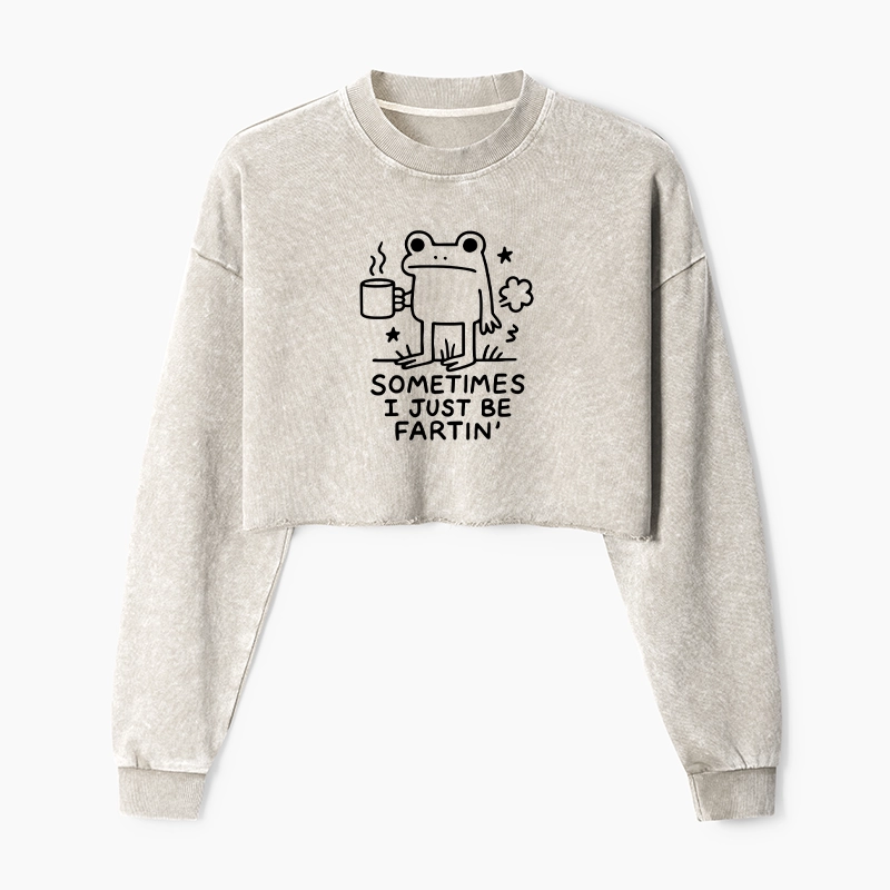 Tokyo-Tiger Sometimes A Frog Just Needs To Fart Washed Crop Sweatshirt