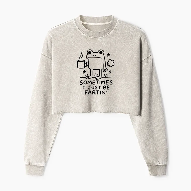 Tokyo-Tiger Sometimes A Frog Just Needs To Fart Washed Crop Sweatshirt Sale