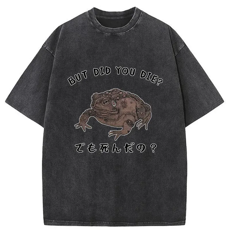 Tokyo-Tiger Question From Frog Funny Washed T-Shirt