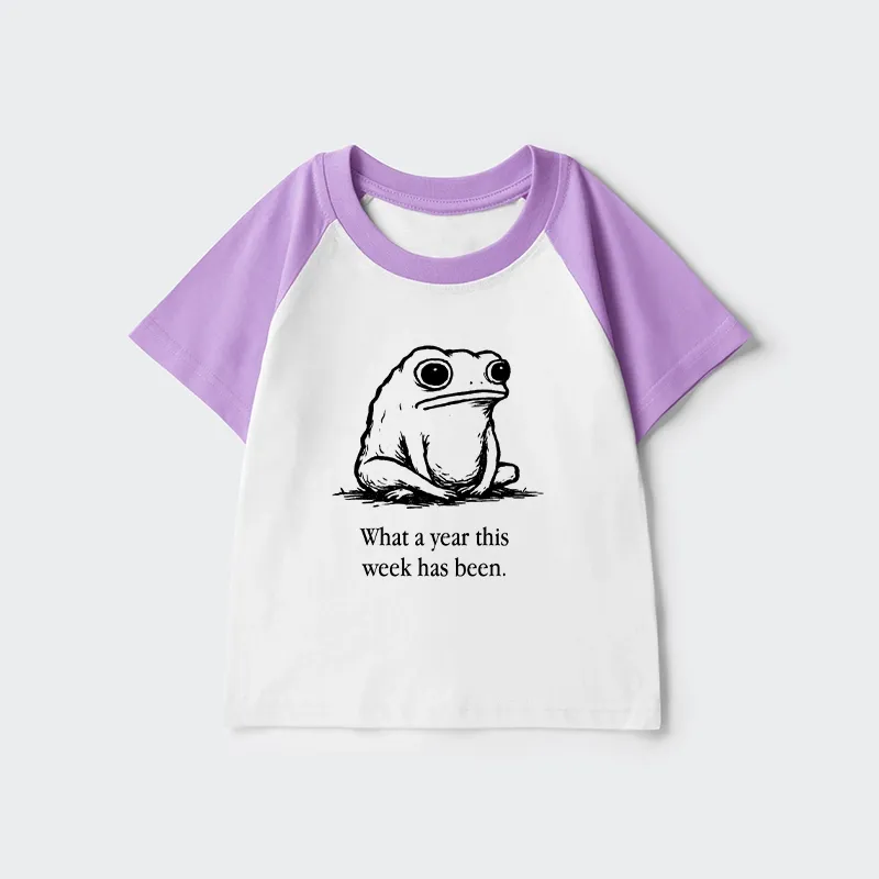 Tokyo-Tiger This Week Feels Like A Whole Year Kids Raglan T-shirt Sale