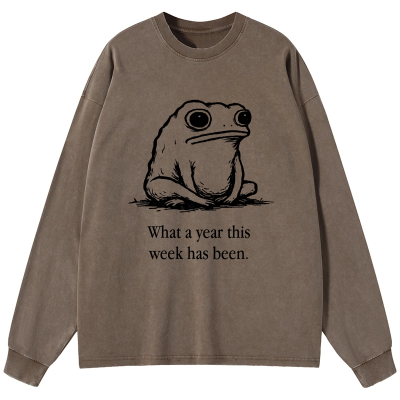 Tokyo-Tiger This Week Feels Like A Whole Year Washed Long Sleeve T-Shirt