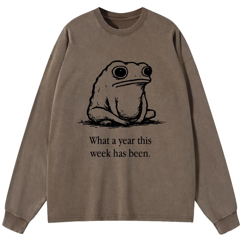 Tokyo-Tiger This Week Feels Like A Whole Year Washed Long Sleeve T-Shirt
