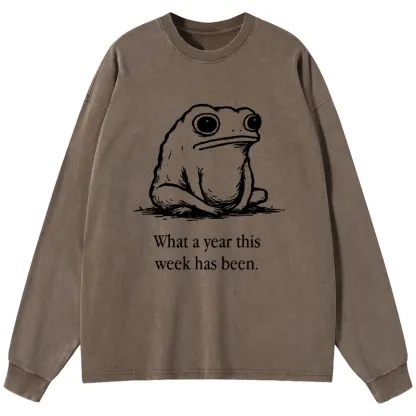 Tokyo-Tiger This Week Feels Like A Whole Year Washed Long Sleeve T-Shirt