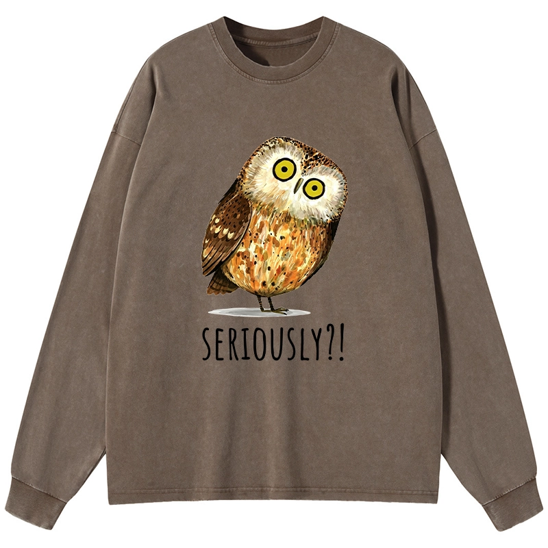 Tokyo-Tiger Seriously Confused Owl Meme Art Washed Long Sleeve T-Shirt
