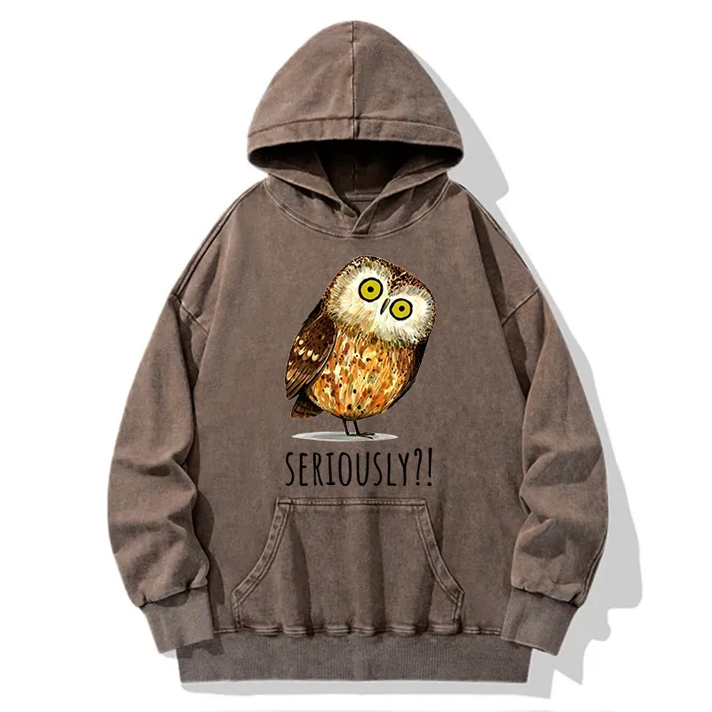 Tokyo-Tiger Seriously Confused Owl Meme Art Washed Hoodie