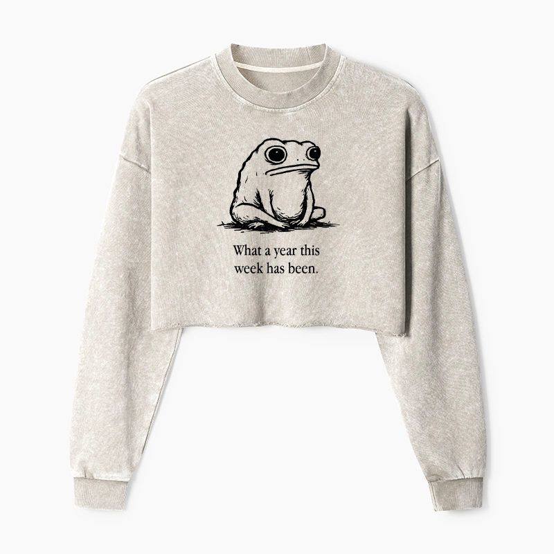 Tokyo-Tiger This Week Feels Like A Whole Year Washed Crop Sweatshirt