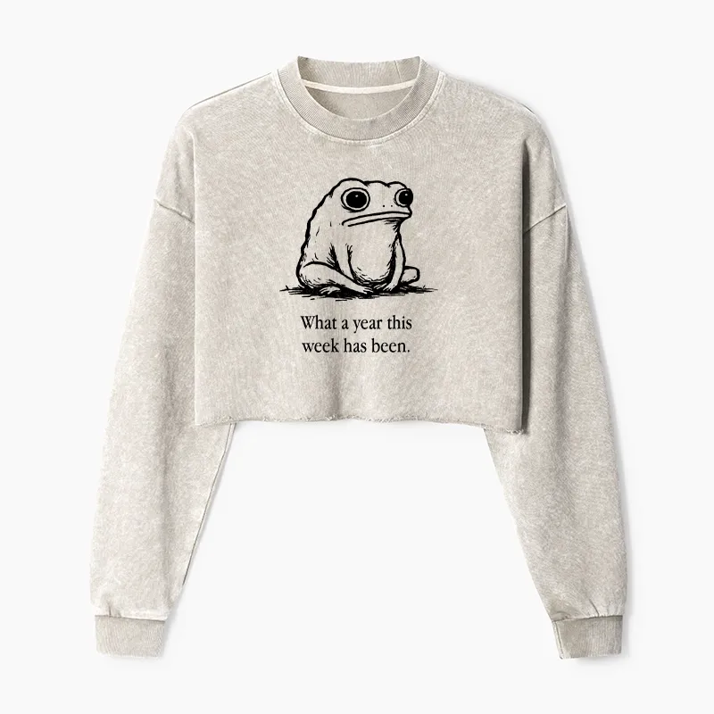 Tokyo-Tiger This Week Feels Like A Whole Year Washed Crop Sweatshirt
