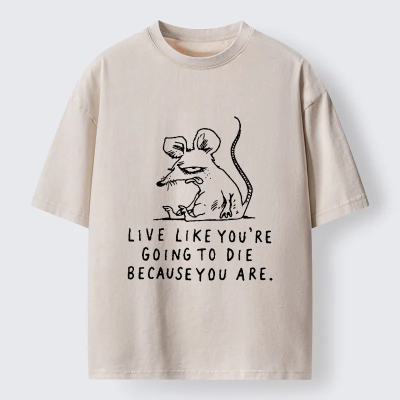 Tokyo-Tiger Funny Meme Sarcastic Rat Life Truth Washed T-Shirt