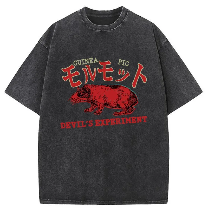Tokyo-Tiger Kung Fu Superstar Washed T-Shirt Sale