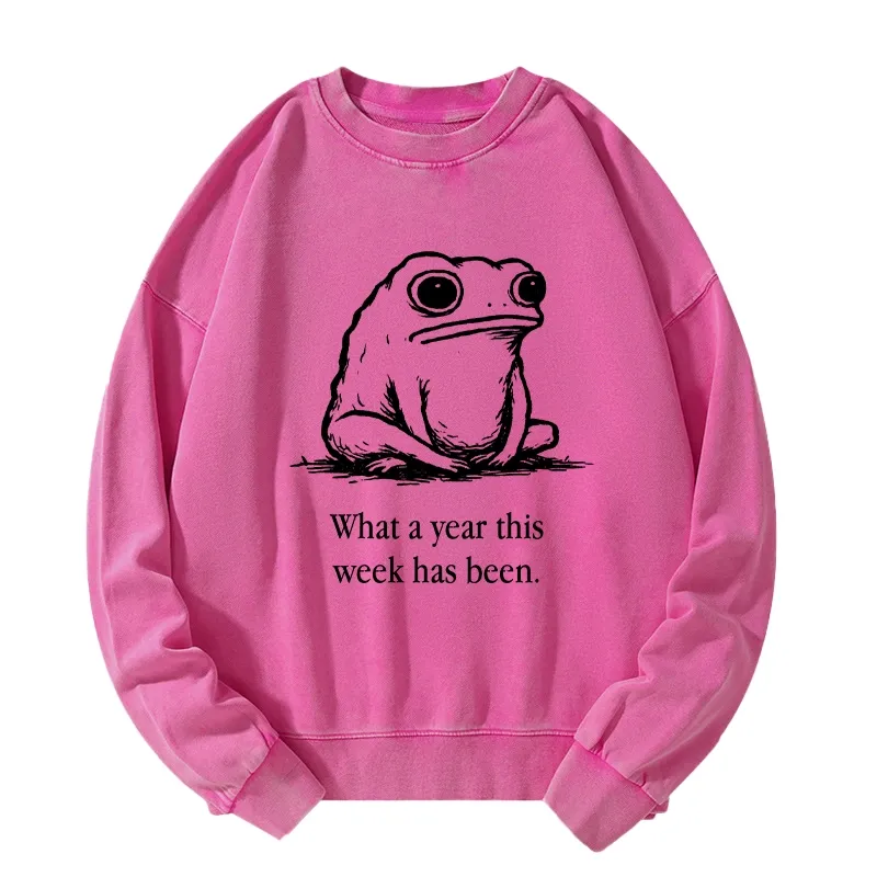Tokyo-Tiger This Week Feels Like A Whole Year Washed Sweatshirt