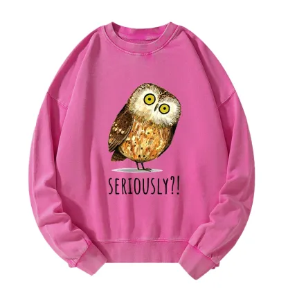 Tokyo-Tiger Seriously Confused Owl Meme Art Washed Sweatshirt