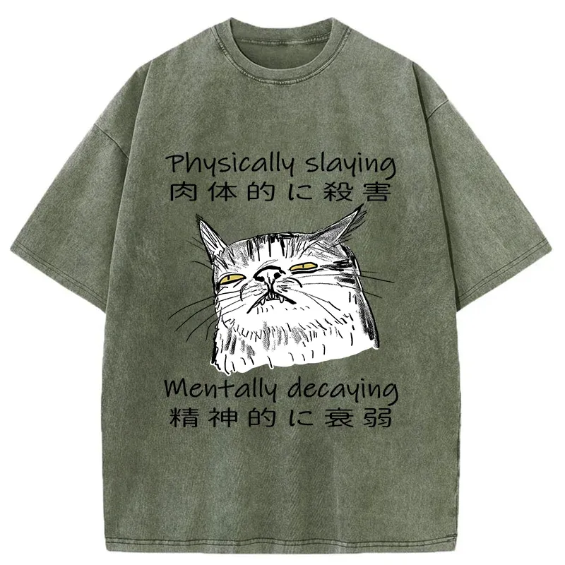 Tokyo-Tiger Physically Slaying Mentally Decaying Washed T-Shirt