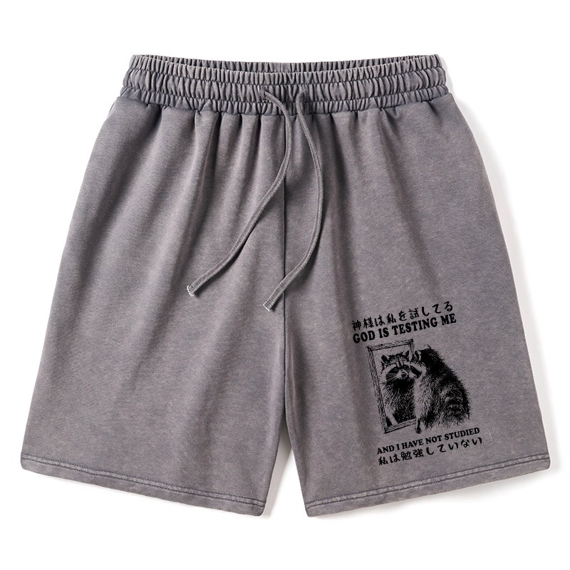 Tokyo-Tiger Raccoon Not Studied Washed Shorts