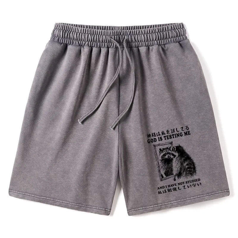 Tokyo-Tiger Raccoon Not Studied Washed Shorts Sale