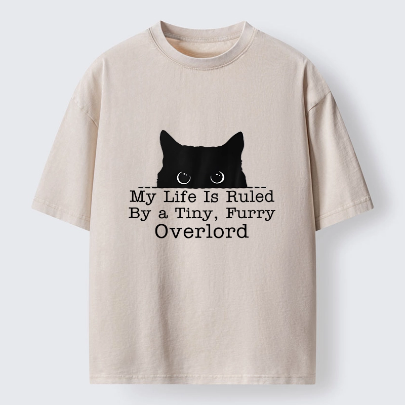Tokyo-Tiger Cat Rules Human Life Simple Graphic Washed T-Shirt