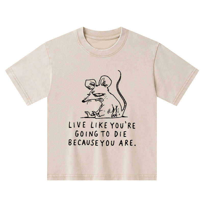 Tokyo-Tiger Funny Meme Sarcastic Rat Life Truth Kids Washed T-Shirt