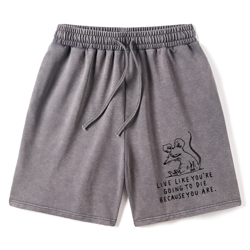 Tokyo-Tiger Funny Meme Sarcastic Rat Life Truth Washed Shorts
