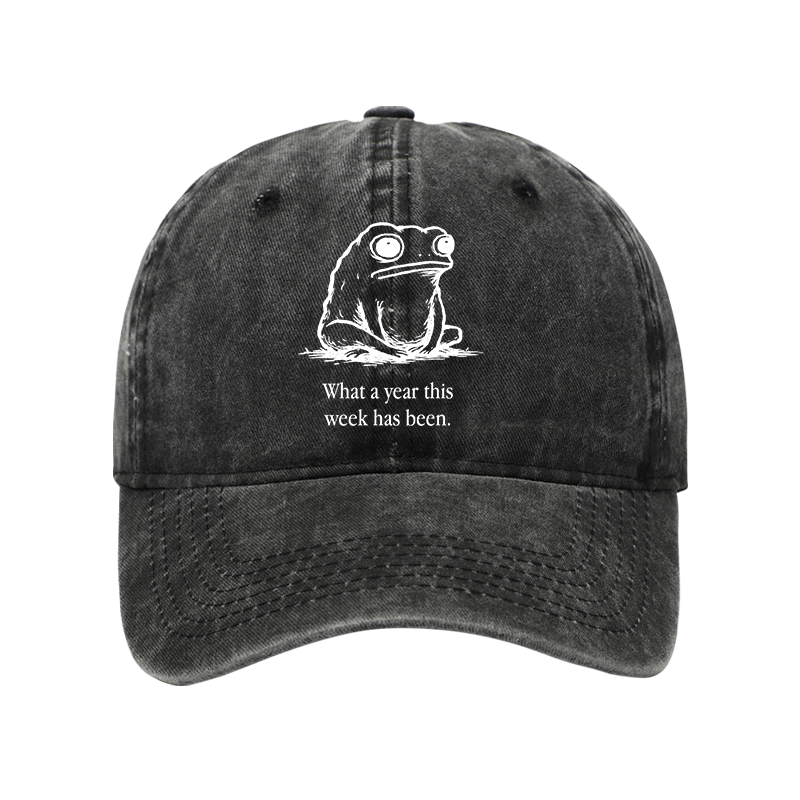 Tokyo-Tiger This Week Feels Like A Whole Year Washed Cap