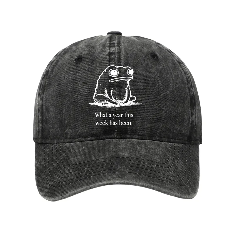 Tokyo-Tiger This Week Feels Like A Whole Year Washed Cap Sale