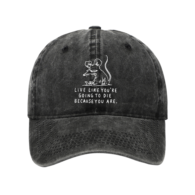 Tokyo-Tiger Funny Meme Sarcastic Rat Life Truth Washed Cap