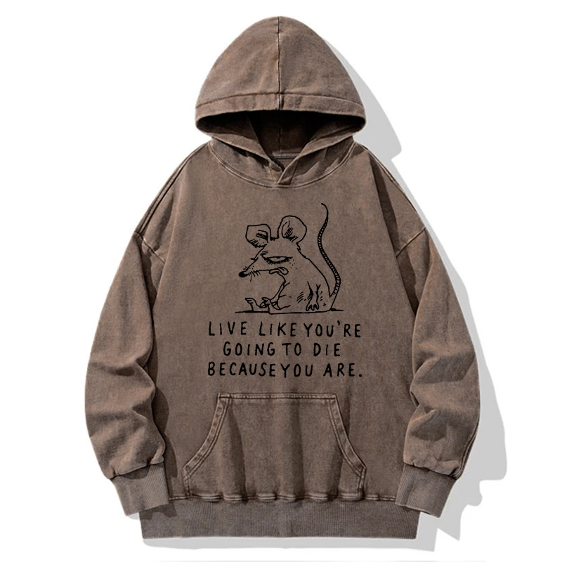 Tokyo-Tiger Funny Meme Sarcastic Rat Life Truth Washed Hoodie