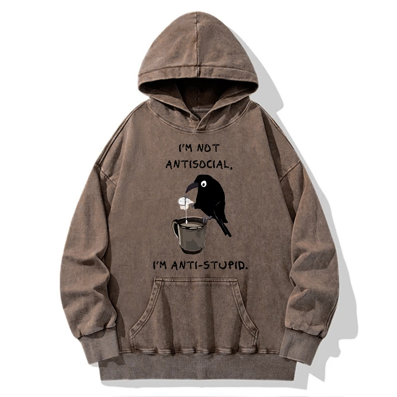 Tokyo-Tiger Cool Crow Sips Calm Coffee Alone Washed Hoodie