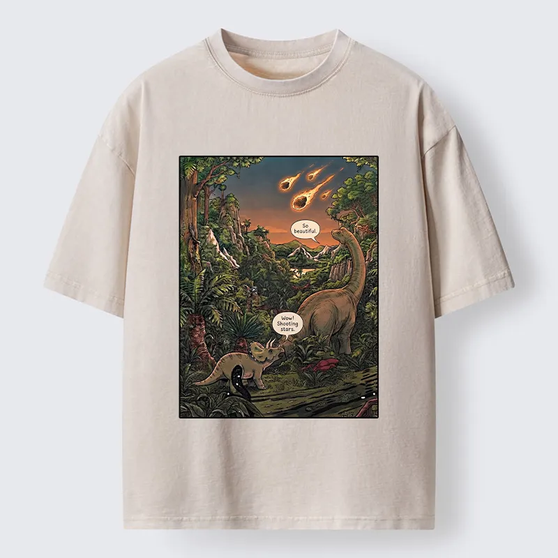 Tokyo‑Tiger Meteor Disaster Funny Washed T-Shirt