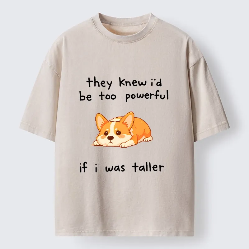 Tokyo-Tiger Funny Short Dog Joke Washed T-Shirt
