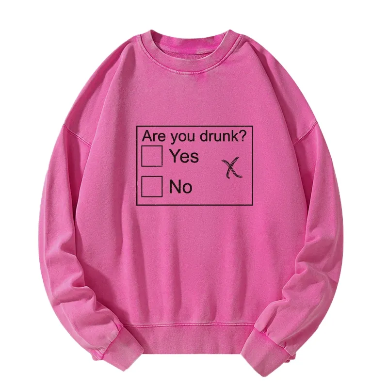 Tokyo-Tiger Confused Drunk Checkbox Graphic Washed Sweatshirt Sale