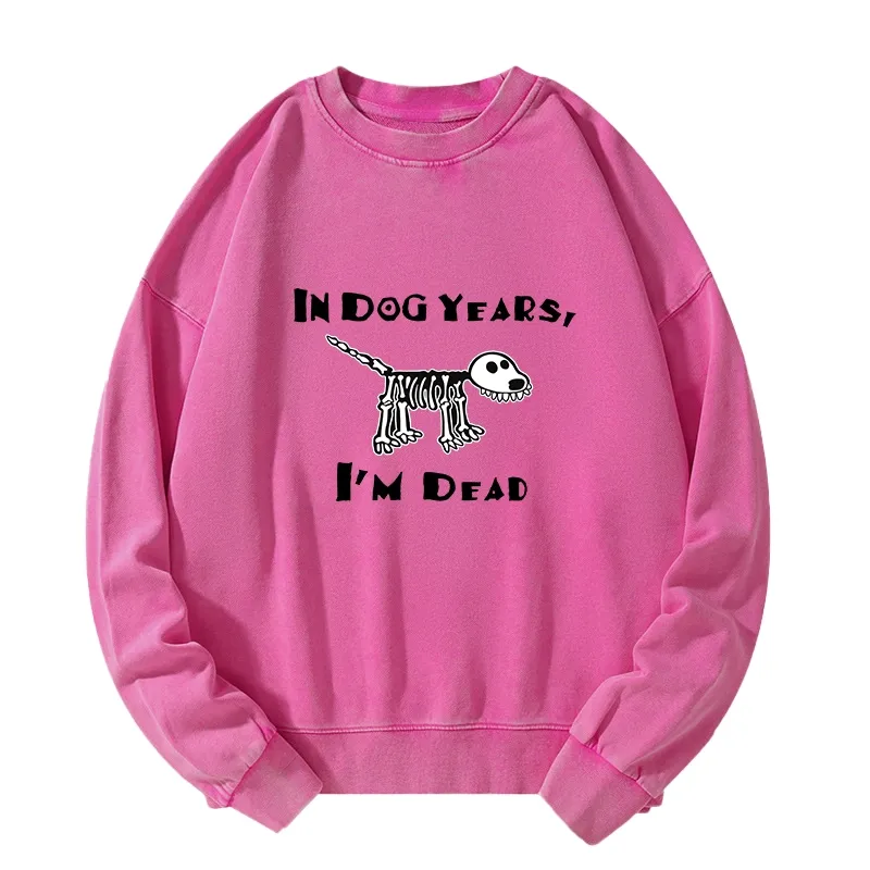 Tokyo-Tiger Funny Meme Old Dog Dead In Dog Years Vibe Washed Sweatshirt