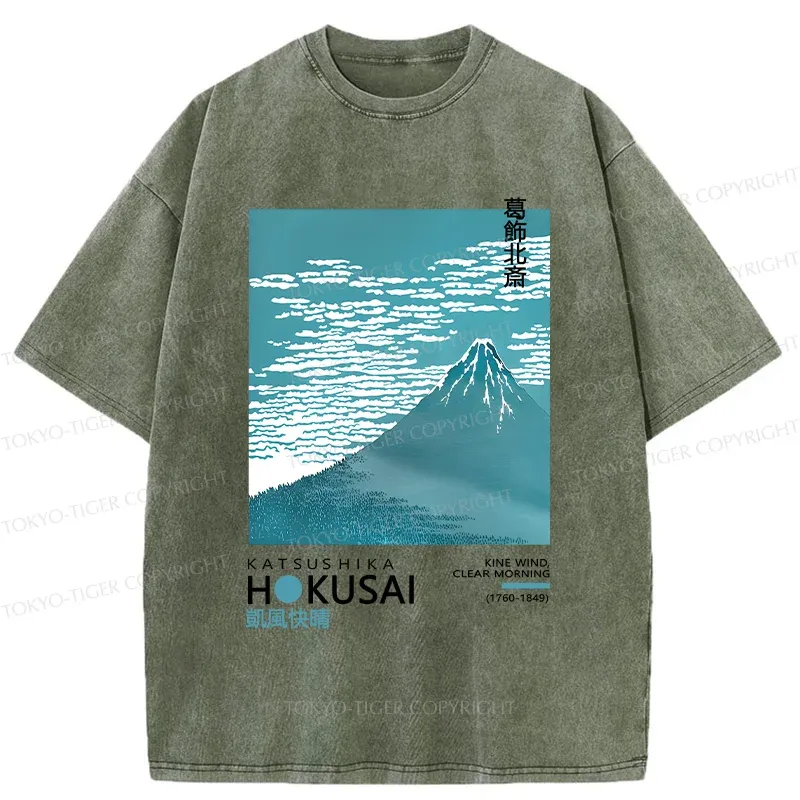 Tokyo-Tiger Retro Mount Fuji Washed T-Shirt