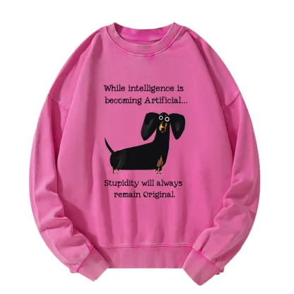 Tokyo-Tiger Dachshund Real Humor Funny Meme Washed Sweatshirt